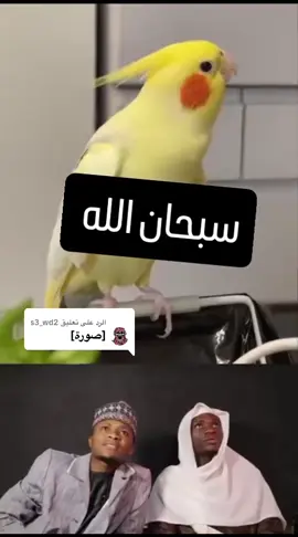 الرد على @s3_wd2 