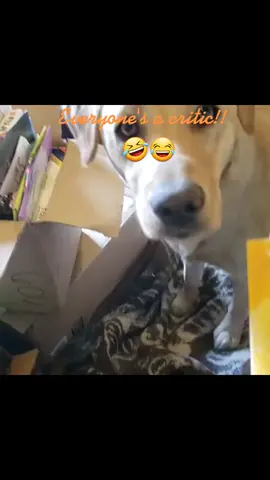 🥰😘 Takoda says 