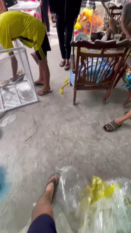 Chào Các Bạn về nhà mới Góc Đam mê nhỏ🥰#xuhuong #vairal #lsrvietnam 