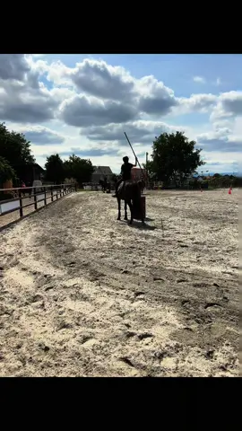 Une nouvelle discipline à mon arc que j’adore 😍 l’équitation de travail ! Vous connaissez ? 🥰 prochaine étape le concours 🎉 #horse #cheval #equitationdetravail #alscace🥨 #basrhin 
