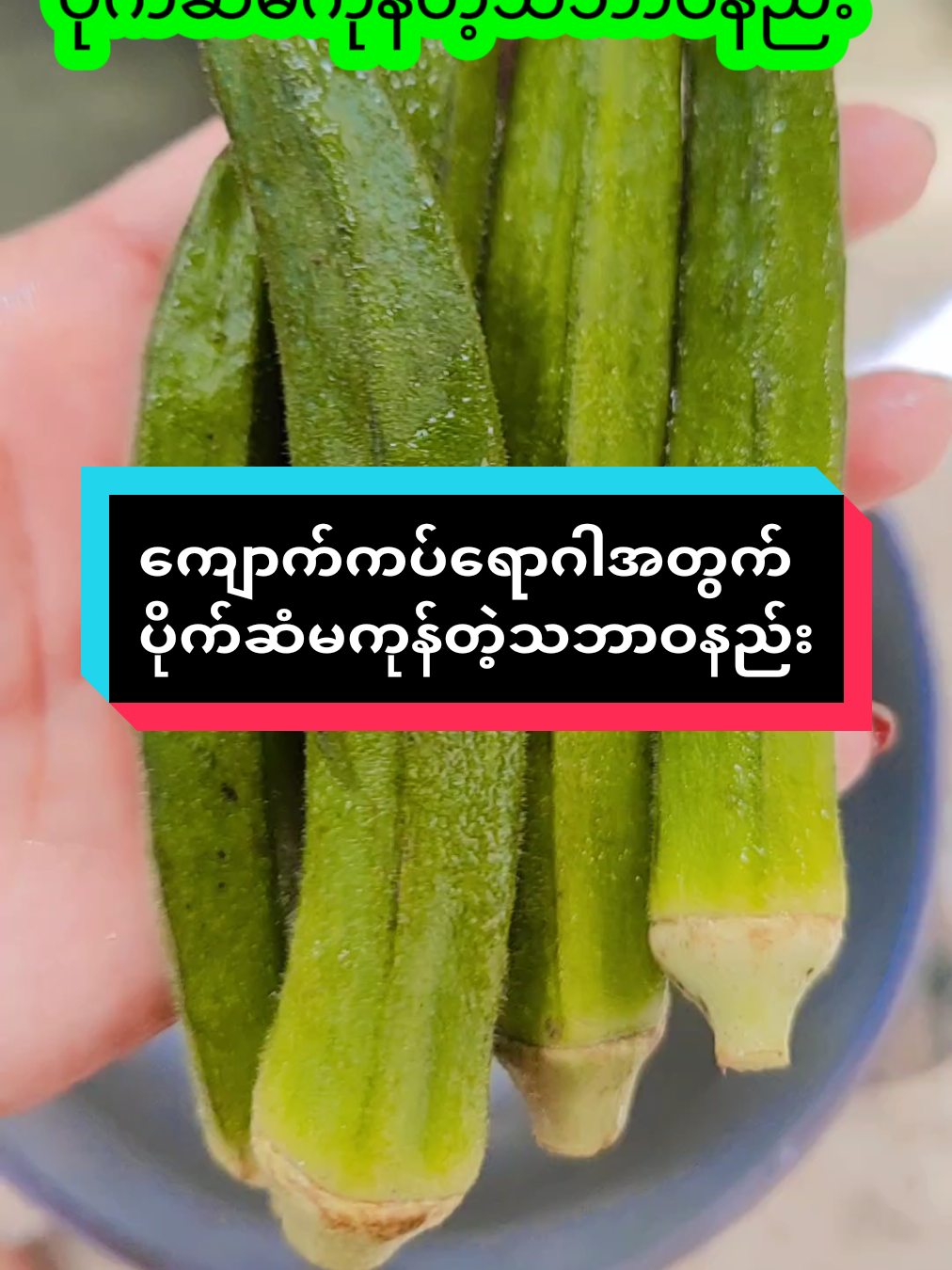 ကျောက်ကပ်အတွက်ဆေးစွမ်းကောင်း#ကျန်းမာရေးဗဟုသုတ #အိမ်တွင်းနည်းလမ်း #ကျန်းမာရေးဗဟုသုတများမျှဝေမည် #ကျန်းမာရေး #ကျန်းမာချမ်းသာကြပါစေ🙏🙏🙏 