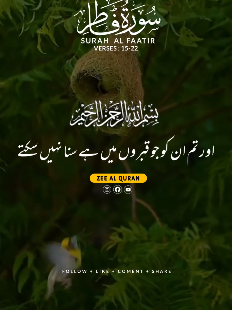 SURAH AL FAATIR 🍂 VERSES (15-22)#foryou #quranurdutranslation #unfreezmyacount 