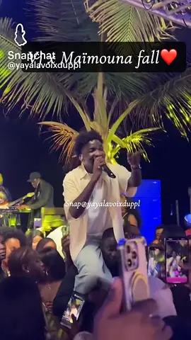 Concert Vj