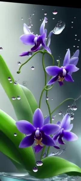 ငါ့ဘဝ စိုင်းထီးဆိုင် #tiktok #fypforyoupageシ #kyawthetsoe1999 #fypppppppppp #fypmyanmartiktok🇲🇲🇲🇲2025❤️❤️ 