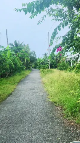 Ngỡ là đẹp hơn chân tình anh trao#haugiang95 #canhque #xh 