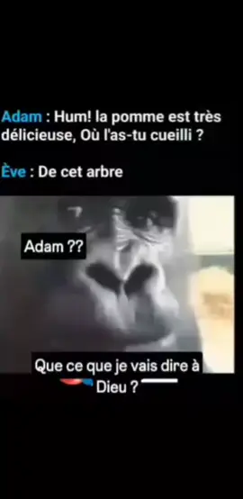 demandez souvent où ells trouvnt certainement choses #fyp #tiktok #viral #afriquetiktok🇨🇲🇨🇮🇨🇩🇲🇱🇹🇬🇬🇦🇸🇳 #pourtoi 