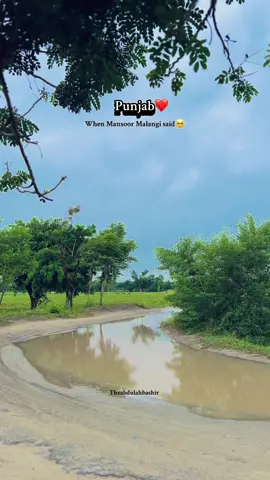 Punjab❤️ #villagelife #peace 