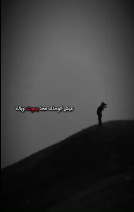 #عيش الوحدك محد يموت وياك #شعراء_وذواقين_الشعر_الشعبي 🤍✨#حسابي جديد 
