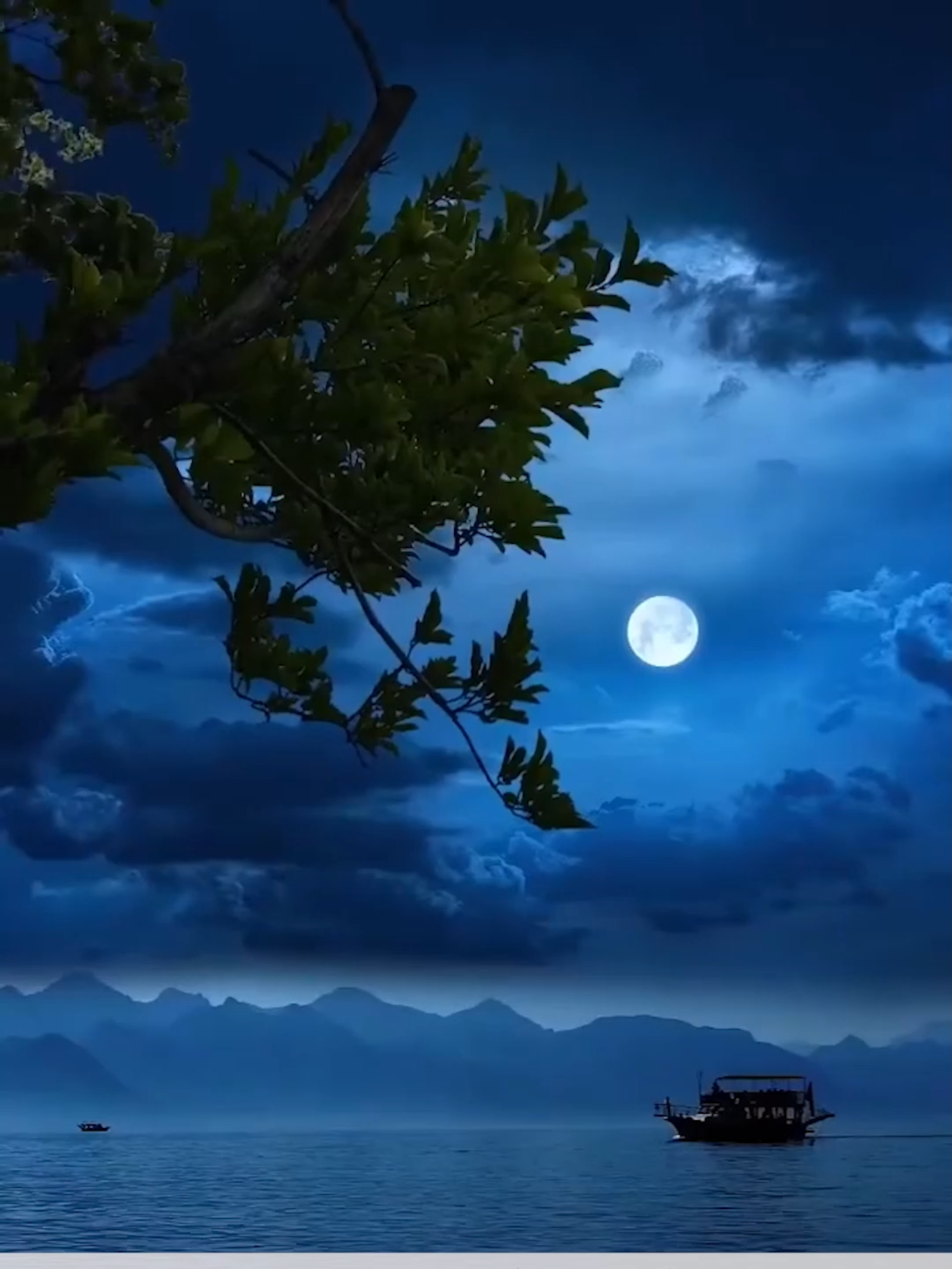 #قرآن #قران_كريم #اسلام_صبحي