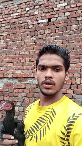 Shan Ali #Blogger #BlogPost #Blogging #BloggersLife #BloggersCommunity #BloggerStyle #BloggersOfInstagram #LifestyleBlogger #PersonalBlog #DailyBlogger #BloggersPakistan #WritingCommunity #LifestyleBlogger #DailyVibes #LifeHacks #Motivation #Inspiration #PositiveVibes #MyStory #SelfGrowt #TechBlogger #EducationalBlog #OnlineLearning #TechTrends #DigitalWorld #KnowledgeSharing #FashionBlogger #BeautyBlogger #StyleInspo #OOTD #MakeupLover #SkincareTips #TrendyLooks