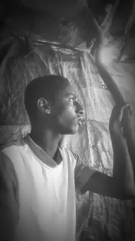 ሸር ኮቢሊንግ አርጉት #creatorsearchinsights #ethiopian_tik_tok🇪🇹🇪🇹🇪🇹🇪🇹 