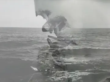 يبوووووو . ـ ـ #viral #Sing_Oldies #اغاني_عراقية_قديمة #فؤاد_سالم #viral 