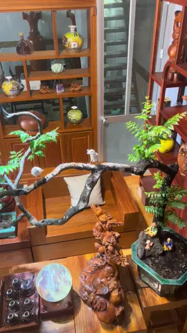 Đây là niềm vui tôi chọn cách ở nhà 