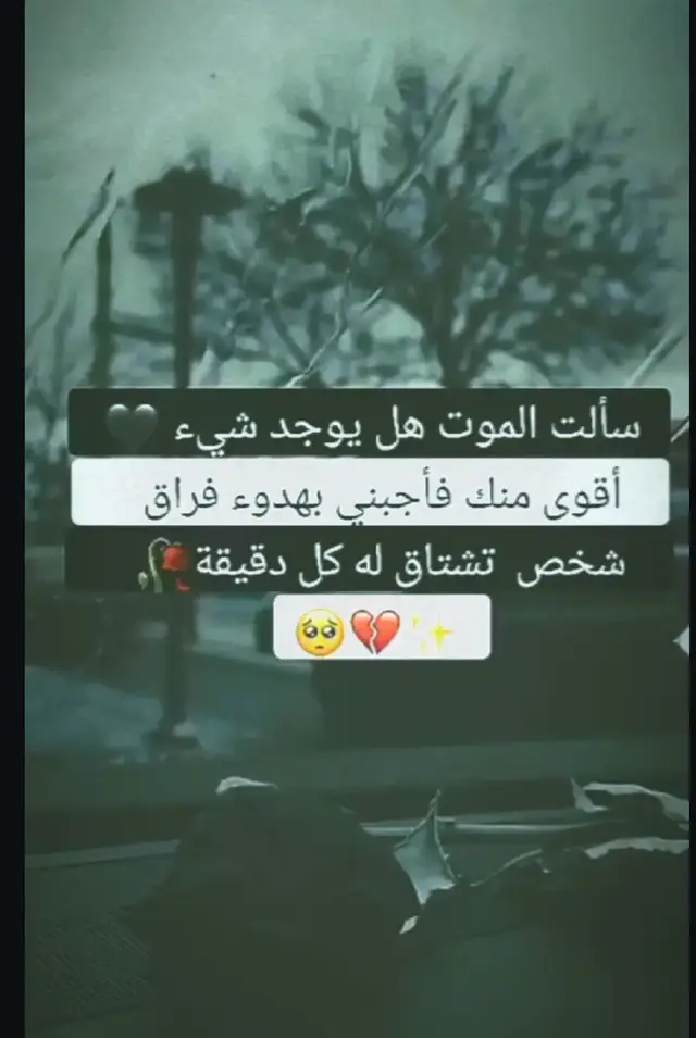 #الجميع #المتابعين #🥺🥀🖤 