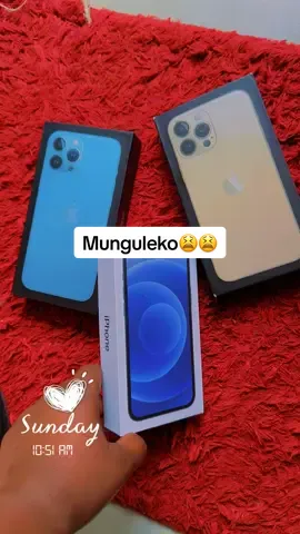 #iphone14promax #virlvidio💯✅ #tiktokuganda🇺🇬🇺🇬 #ipon #ugandan 