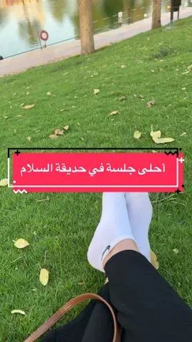 ‏يسعد صباح أحلى متابعين أحلى جلسة في حديقة السلام اقسم بالله البارح رحت لحدي السلام ايش أقول لكم تحفة حديقة مرة جميلة جدا في الرياض حديقة السلام وحديقة الوطن