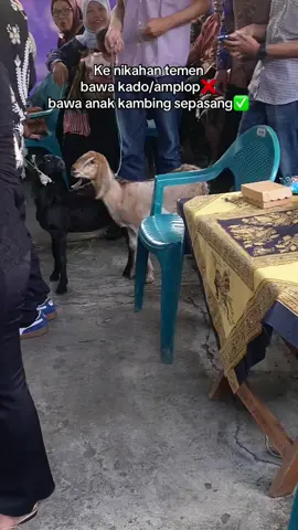 Ide kado nikahan yang bermanfaat 😬 #nikah #akad #manten 