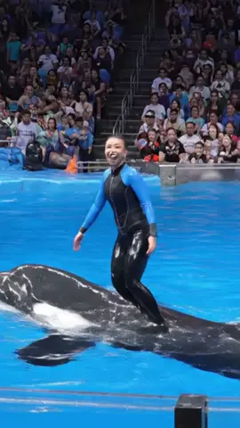 Lily last moments #Lily #emotional #foryou #orcas #dolphin 