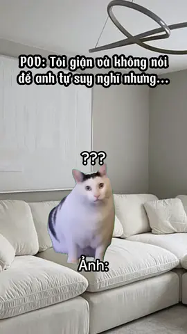 ảnh vô tâm#cat #catmeme #memes #funnycats #hàihước 