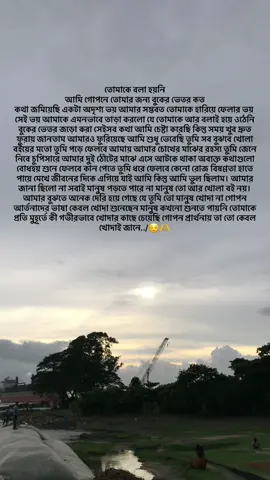 তোমাকে বলা হয়নি আমি গোপনে তোমার জন্য বুকের ভেতর কত কথা জমিয়েছি একটা অদৃশ্য ভয় আমার সম্ভবত তোমাকে হারিয়ে ফেলার ভয় সেই ভয় আমাকে এমনভাবে তাড়া করলো যে তোমাকে আর বলাই হয়ে ওঠেনি বুকের ভেতর জড়ো করা সেইসব কথা আমি চেষ্টা করেছি কিন্তু সময় খুব দ্রুত ফুরায় জানতাম আমারও ফুরিয়েছে আমি শুধু ভেবেছি তুমি সব বুঝবে খোলা বইয়ের মতো তুমি পড়ে ফেলবে আমায় আমার চোখের মাঝের রহস্য তুমি জেনে নিবে চুপিসারে আমার দুই ঠোঁটের মাঝে এসে আটকে থাকা অব্যক্ত কথাগুলো বোধহয় শুনে ফেলবে কান পেতে তুমি ধরে ফেলবে কেনো রোজ বিষণ্ণতা হাতে পায়ে মেখে জীবনের দিকে এগিয়ে যাই আমি কিন্তু আমি ভুল ছিলাম। আমার জানা ছিলো না সবাই মানুষ পড়তে পারে না মানুষ তো আর খোলা বই নয়। আমার বুঝতে অনেক দেরি হয়ে গেছে যে তুমি তো মানুষ খোদা না গোপন আর্তনাদের ভাষা কেবল খোদা শুনেছেন মানুষ কখনো শুনতে পায়নি তোমাকে প্রতি মুহূর্তে কী গভীরভাবে খোদার কাছে চেয়েছি গোপন প্রার্থনায় তা তো কেবল খোদাই জানে../😌🫶