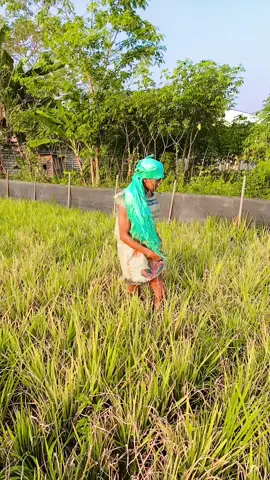 hotoko jumene🤣#india#pretizinta#viral#bollywood#fyp