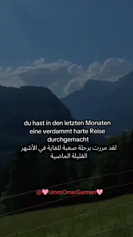 du hast in den letzten Monaten eine verdammt harte Reise durchgemacht #deutschlernen🇩🇪 #1omalomar #flypシ 