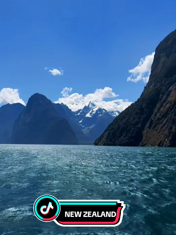 Welcome To New Zealand!🤩🤩😍😍 #newzealand #newzealandtravel #travel #traveltiktok #aroundtheworld 