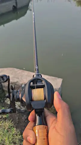 Zerox Zingx Reel baitcasting bunyi zing#zingxdc #zeroxfishing #zing #bfs