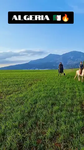 #foryou #horse #horsesoftiktok #horseriding #algeria 