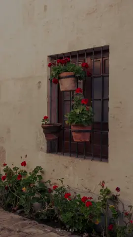 #ماهرالمعيقلي #سورة_الإنسان #quran 