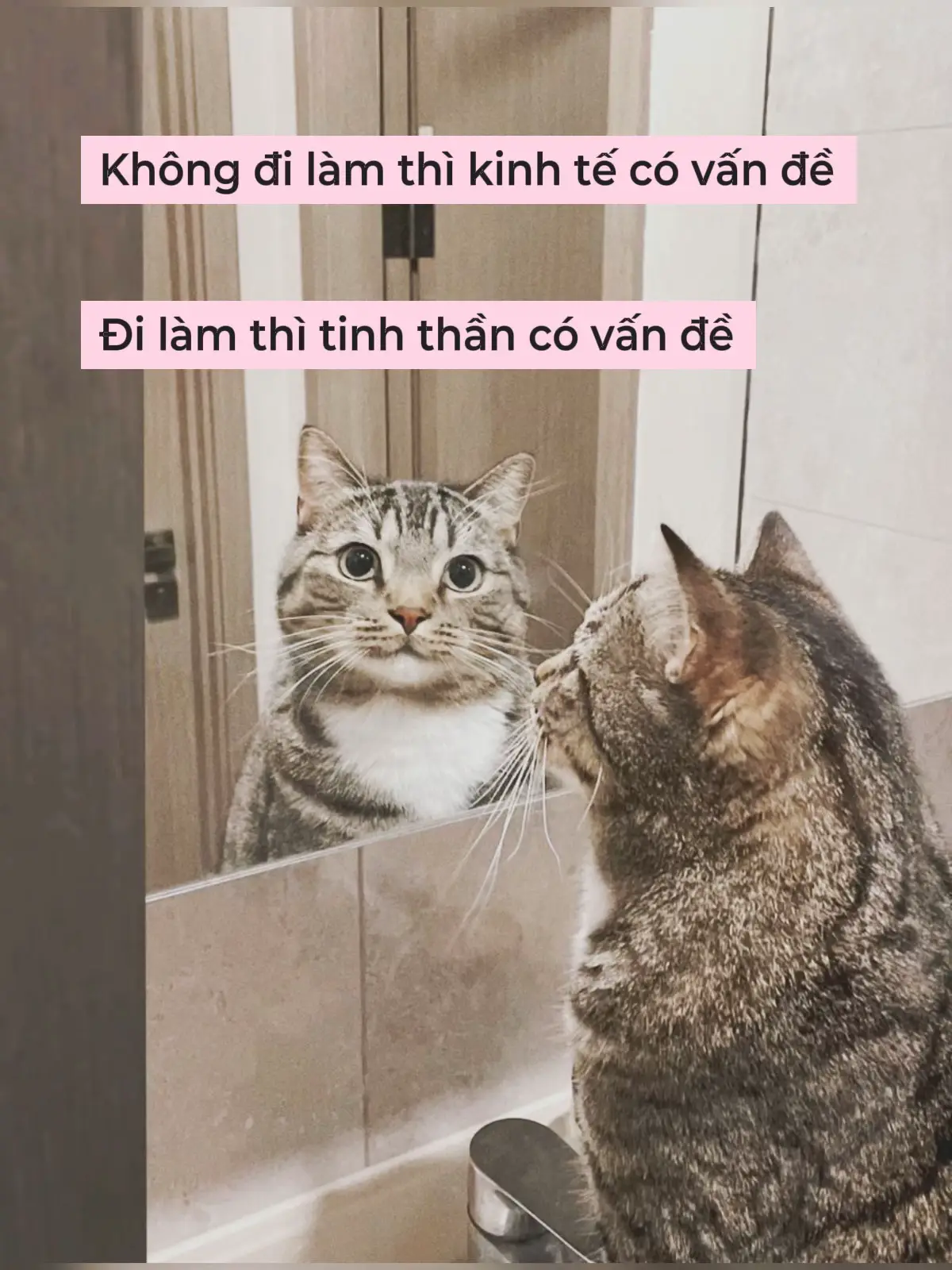 Đại đại đi mà có tiền 😅
