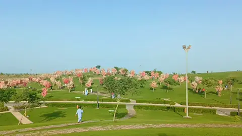 বিকেলে সময় কাটানোর জন্য সুন্দর একটি জায়গা #সৌদি আরব দাম্মাম 