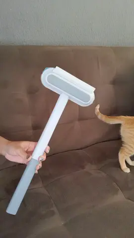 Limpar os pelos do sofá e das roupas nunca foi tão fácil  prático e satisfatório como agora com essa escova. estou amando.