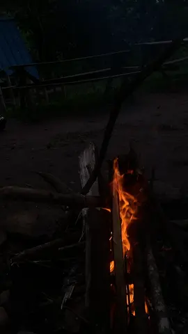 🔥🔥🔥🔥. #fyp #trendingvideo #somaligirls #dalxiis 