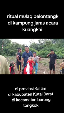 #kutaibarat #kubar #kaltim #dayakbenuaq #dayaktunjung 