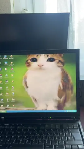 #fyp #Tech #virał #laptop #meowl 