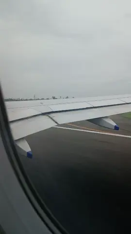 Taking off from Chennai India  #india #chennai #Runway #takeoff #plane My Love Animals 💖