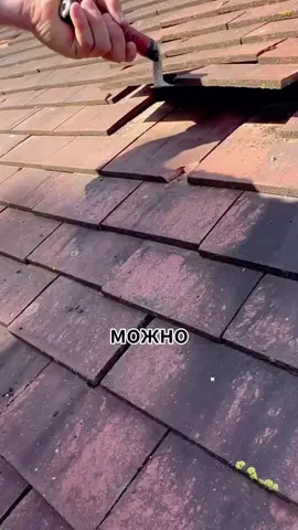 #истории #доктор #переписка #переписки #апвоутреддит
