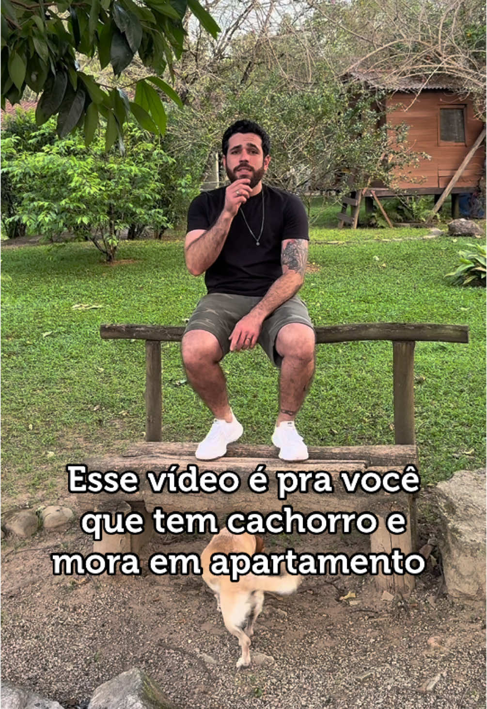 Esse vídeo é pra você que tem cachorro em apartamento 🫵🏼 #seucaovivendomais #longevidadecanina #cachorrosendocachorro #saudepet #nutriçãocanina #medvet 
