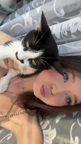 #cat #fyp #dlaciebie #viral #2020tiktok 