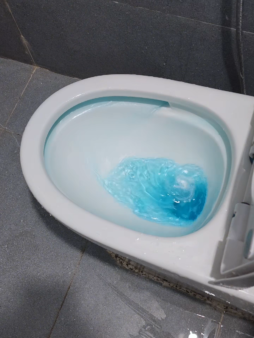 Viên thả bồn cầu giúp khử mùi khử khuẩn và vết ố vàng #vienthaboncau 