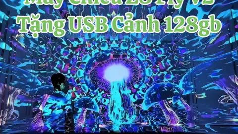 Phòng tui cỡ này, phòng bạn cỡ nào #maychieudicanh #maychieubayphong #dendicanh #maychieuz8flyv2 #dinhtoi_1996 