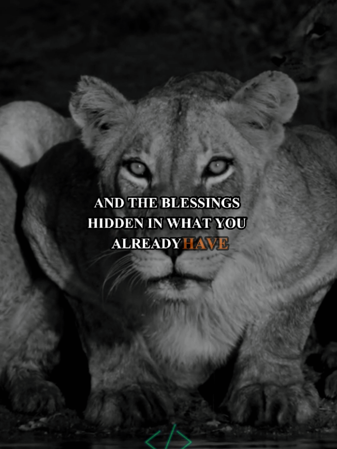 the best decision I made this week #motivation #message #life #animals #lion 