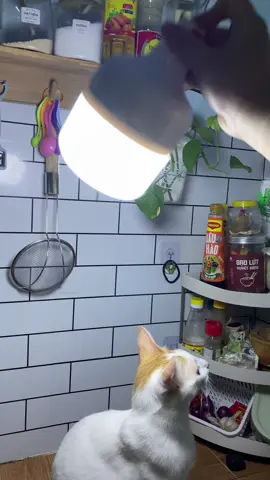 Bóng đèn LED tích điện – mất điện vẫn sáng, cực tiện lợi 💡⚡ Tiết kiệm điện, sáng lâu, nhà nào cũng nên có sẵn 1 cái nha 👍 #bongdenled #tichdien #giadungthongminh #xuhuong #khongthethieu 