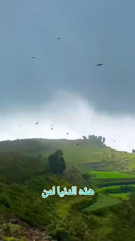 فاض بي وجدي  #creatorsearchinsights #اكسبلور #ايوب #4u #اكسبلور 