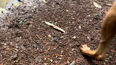 เด็กๆสนุกมากกกกก เด็กบ้านนอกไปแต่ไร่แต่นา😂