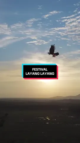 📍Festival Layang Layang Manaran Pelaihari ( Tanah Laut ) #layanglayang #tanahlaut #creatorsearchinsights #fyp #fypage  @kai wala @TanahLautInfotainment @Dinas Pariwisata Tanah Laut @tanahlautinfo 