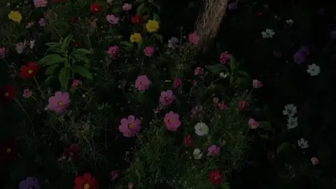 cô gái này là của ai?  #music 