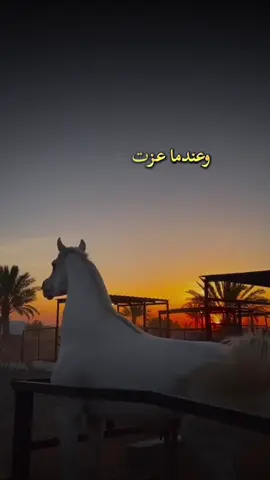 #أكسبلور_شعر_حكم_خواطر 