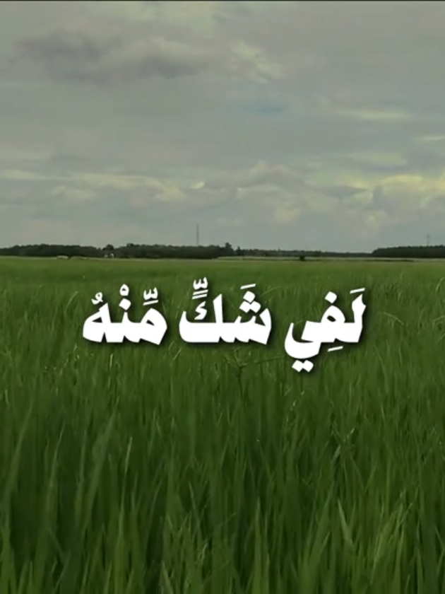 (تلاوة الشيخ محمد ايوب🤍)  #قرآن #محمد_ايوب #راحه_نفسيه #اكتب_شيء_تؤجر_عليه🌿🕊 #منظر_طبيعي 